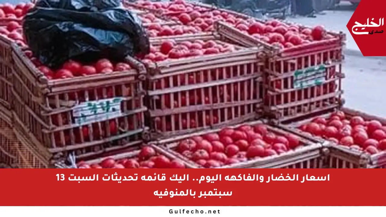 أسعار الخضار والفاكهة اليوم.. إليك قائمة تحديثات السبت 13 سبتمبر بالمنوفية
